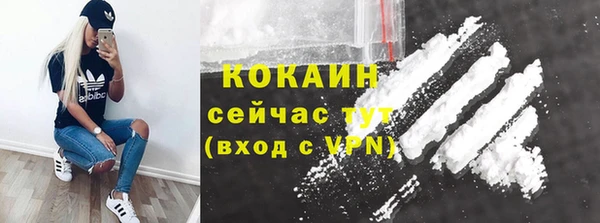 ПСИЛОЦИБИНОВЫЕ ГРИБЫ Богданович