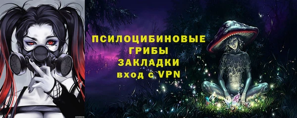 бошки Богородицк