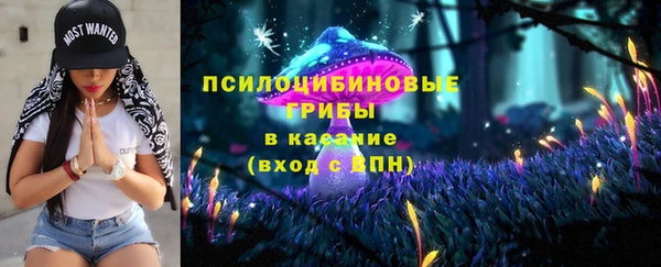 дживик Белоозёрский