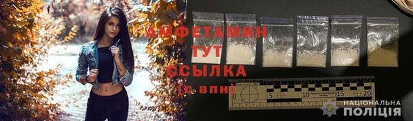 СК Снежногорск
