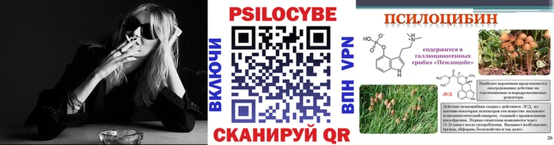 blacksprut ссылка  Рыбинск  Псилоцибиновые грибы Magic Shrooms 
